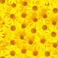 Beautiful yellow flowers Floral background