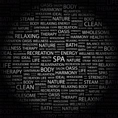 SPA N16