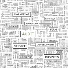 AUDIT N4