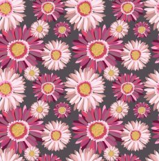 Gerbera N2