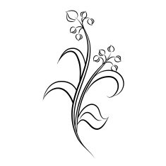 Flowers N157