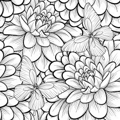 Beautiful monochrome black and white seamless background with flowers dahlia N5