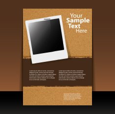 Flyer or Cover Design N50