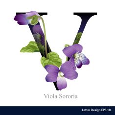 Letter V vector alphabet with viola sororia ABC concept N2