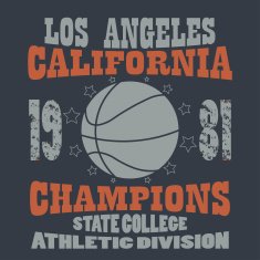 Basketball Champions t-shirt N2