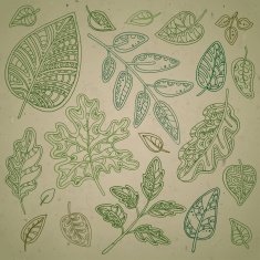 vector set of leaves N3