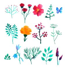 Vector set of watercolor plants