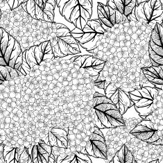 Seamless floral pattern with hydrangeas