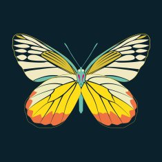 butterfly yellow wing abstract on navy background
