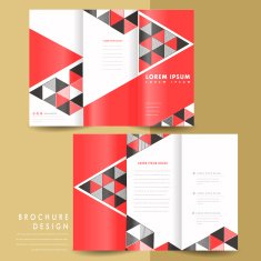 modern geometric tri fold brochure N2