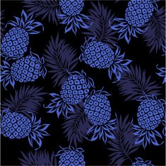 repetition of pineapple N2