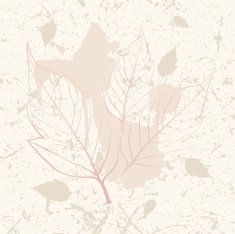 nature background N6