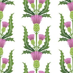 Simple Stencil Style Scottish Thistle In Pink Purple And Green