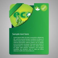 Flyer or Cover Design N52