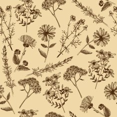 Seamless vintage pattern with ink hand drawn herbs