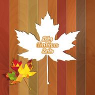 Big Autumn Sale Autumnal Maple Leaf on a wooden background N4
