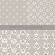 Set of seamless patterns with camomile