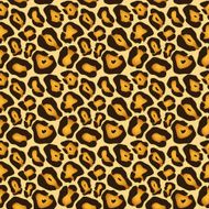 leopard pattern N26