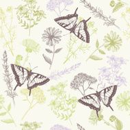 Seamless vector pattern with butterflies herbs and flowers