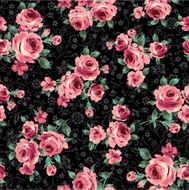 repetition of the rose