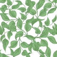 seamless background leaves Monstera with outline