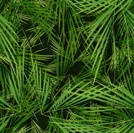 Seamless Palm Trees Leaves Wallpaper