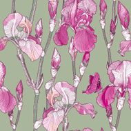 Seamless pattern with Beautiful pink iris flowers
