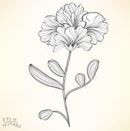 Floral Elements for design N3