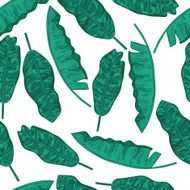 Banana leaves pattern N2