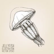 Vintage jellyfish illustration