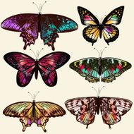 vector realistic butterflies for design