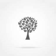 tree with leaves icon