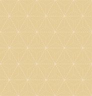 seamless isometric triangle pattern of outlines