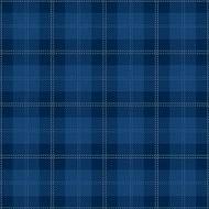 Blue Seamless Tartan Plaid Design N2
