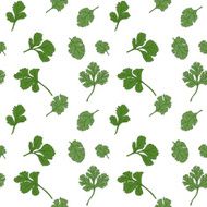 Cilantro seamless pattern