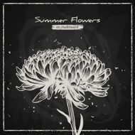Stylish floral background hand drawn retro peony flower