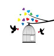 Doves N2