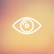 Eye thin line icon