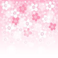 Spring background with blooming japanese cherry tree vector