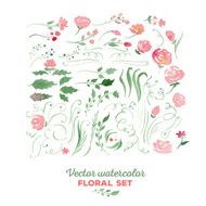 Floral set - vector watercolor illustration Flowers leaves sw