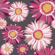 Gerbera N3