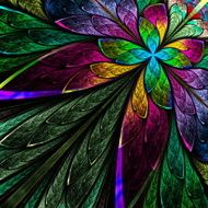Colorful rainbow fractal feathers or petals