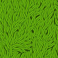 grass background N5