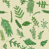 herbal pattern hand drawn vector illustration