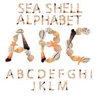 Alphabet made of different sea shells
