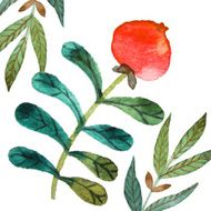 Berry fruit