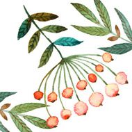 Rowan