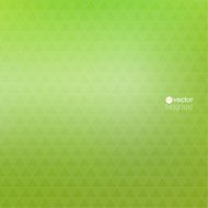 Abstract vector background with triangles and pattern of geometr N2