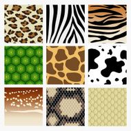 animal skin N2