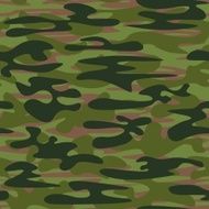 camouflage green